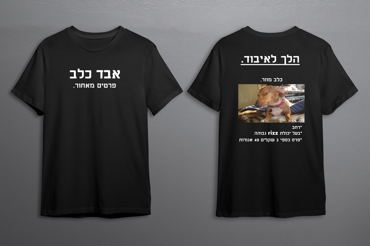 חולצת אבד כלב