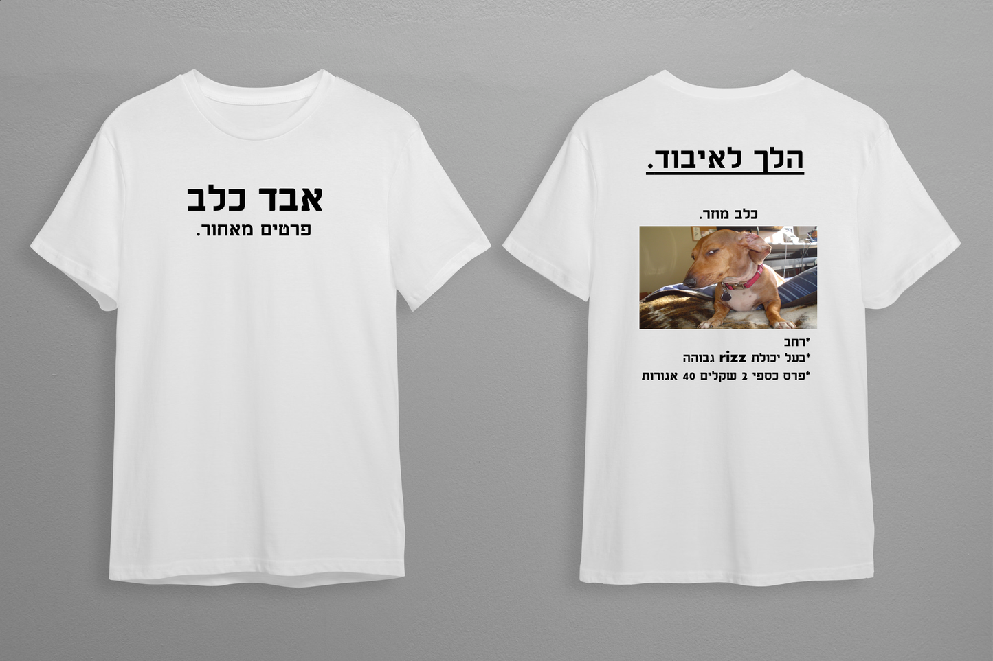 חולצת אבד כלב